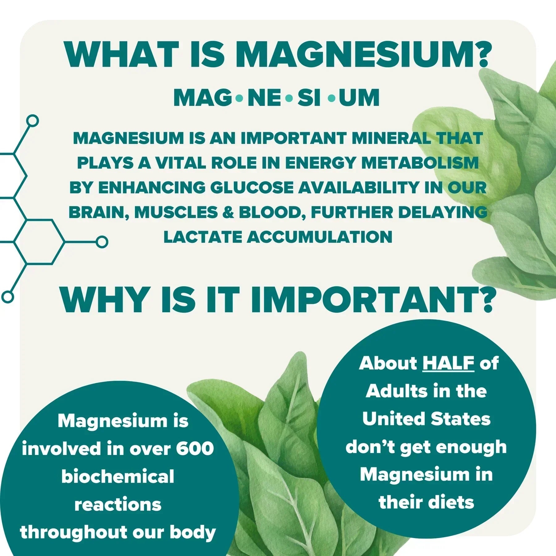 STUDY: Effects of Magnesium Supplementation on Muscle Soreness