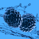 FROST BERRY ELECTROLYTE GUM