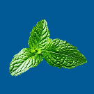 POLAR MINT PERFORMANCE ENERGY