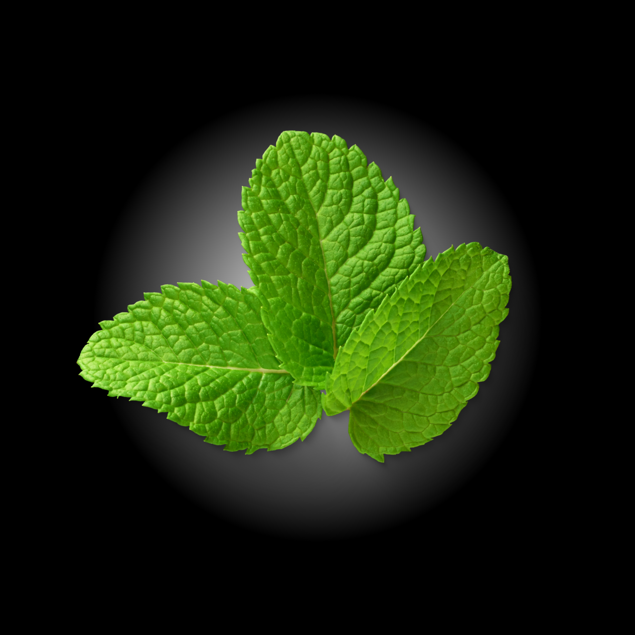 SPEARMINT ENERGY EXTRA STRENGTH